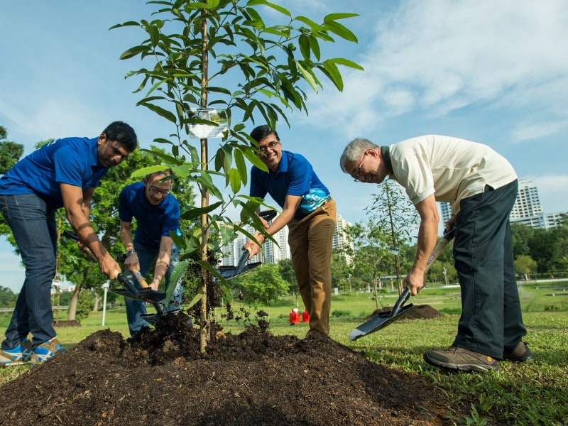 Structured Learning & Onsite Training